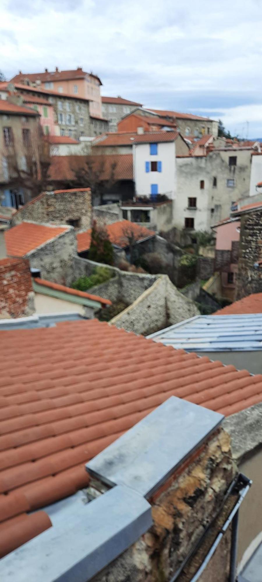 Bienvenue Chez Vous Apartment Le Puy-en-Velay ภายนอก รูปภาพ
