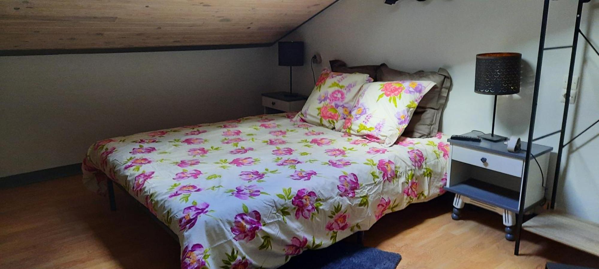 Bienvenue Chez Vous Apartment Le Puy-en-Velay ภายนอก รูปภาพ