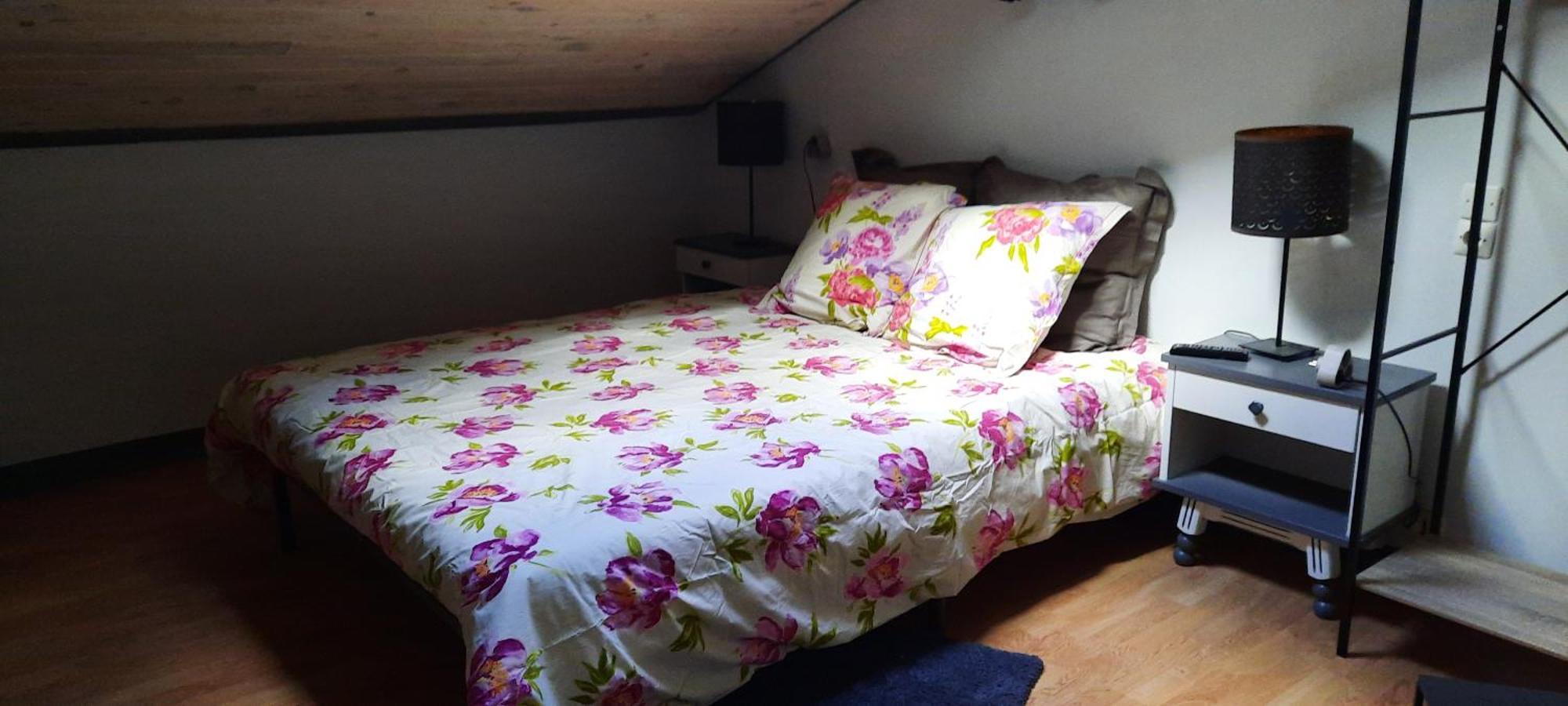 Bienvenue Chez Vous Apartment Le Puy-en-Velay ภายนอก รูปภาพ